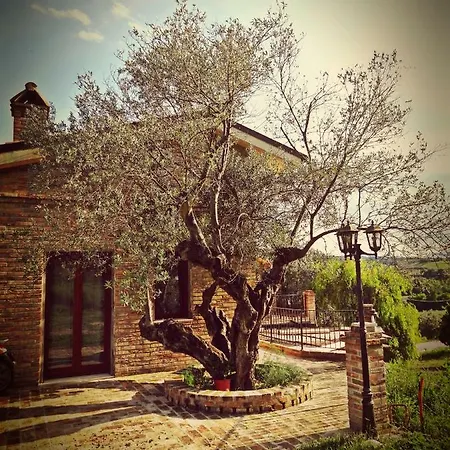 Casale Del Sole Bed & Breakfast Cepagatti Exterior photo