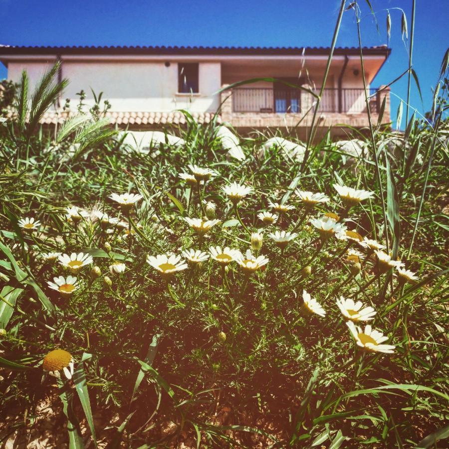 Casale Del Sole *