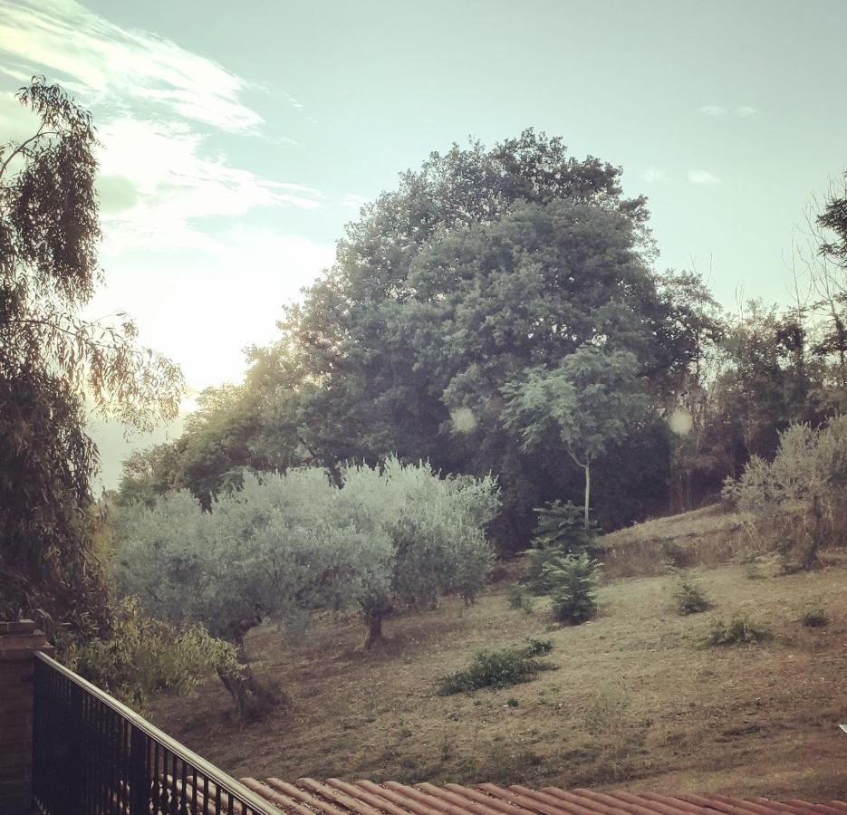 Casale Del Sole *