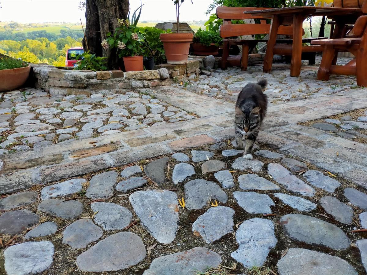Bed & Breakfast Casale Del Sole