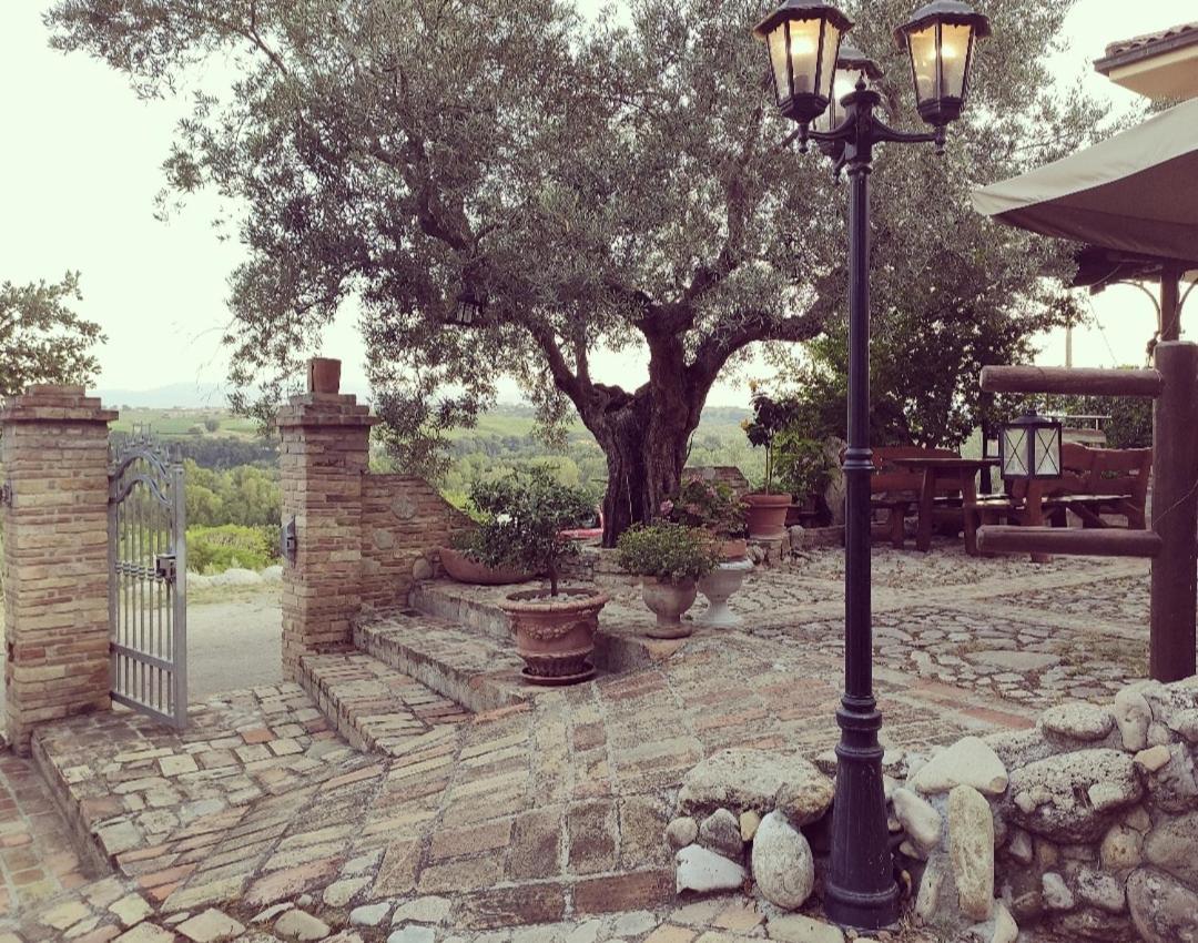 Casale Del Sole Bed & Breakfast Cepagatti