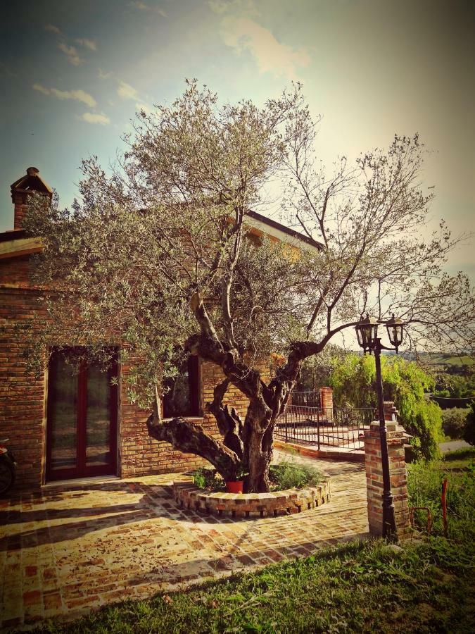 Casale Del Sole * Cepagatti