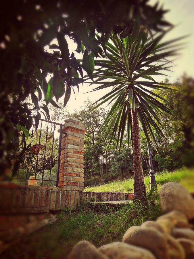 Bed & Breakfast Casale Del Sole Cepagatti