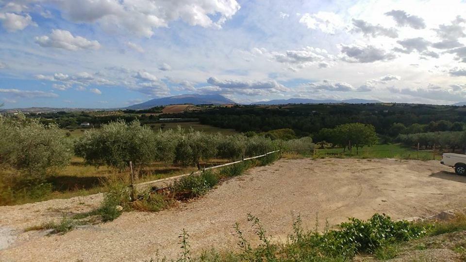 Casale Del Sole Bed & Breakfast *