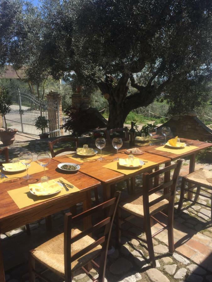 Casale Del Sole Bed & Breakfast