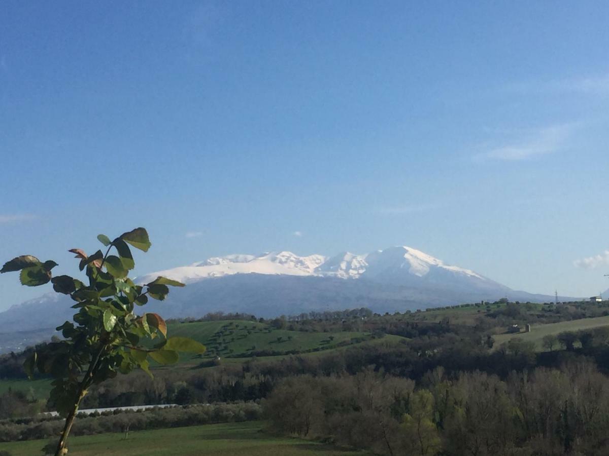 Casale Del Sole